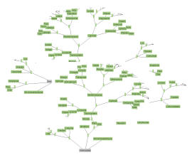 Hyperbolic Knowledge tree