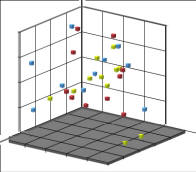 XYZ Axis Florida, dolphin, football